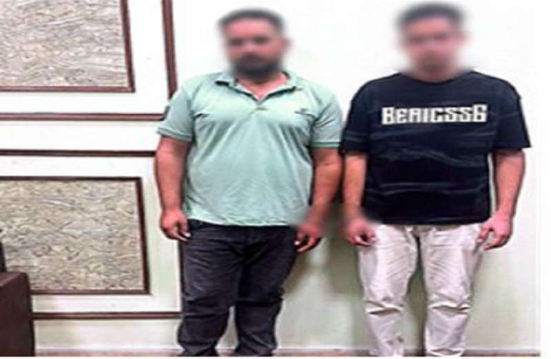 بوابة المصريين