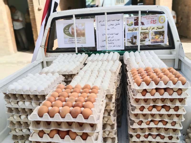 بوابة المصريين