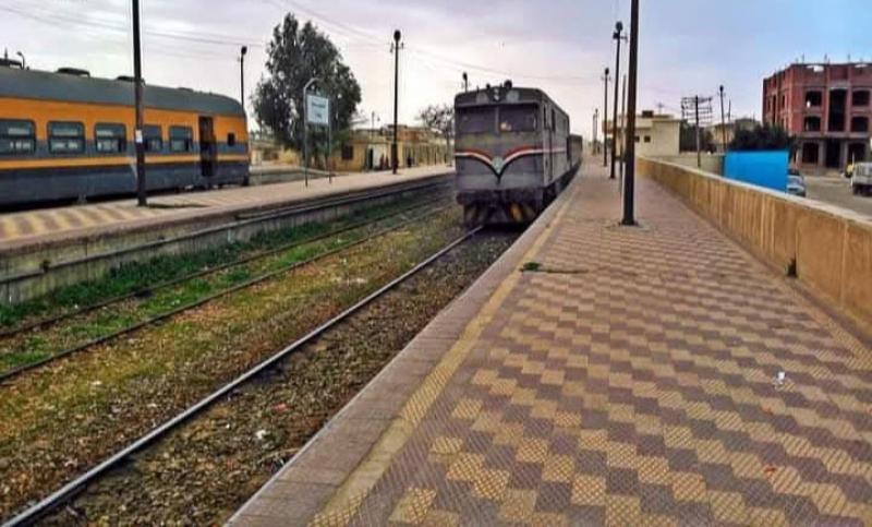 بوابة المصريين