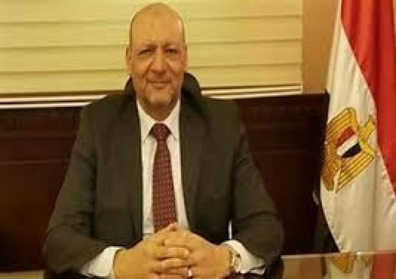 بوابة المصريين