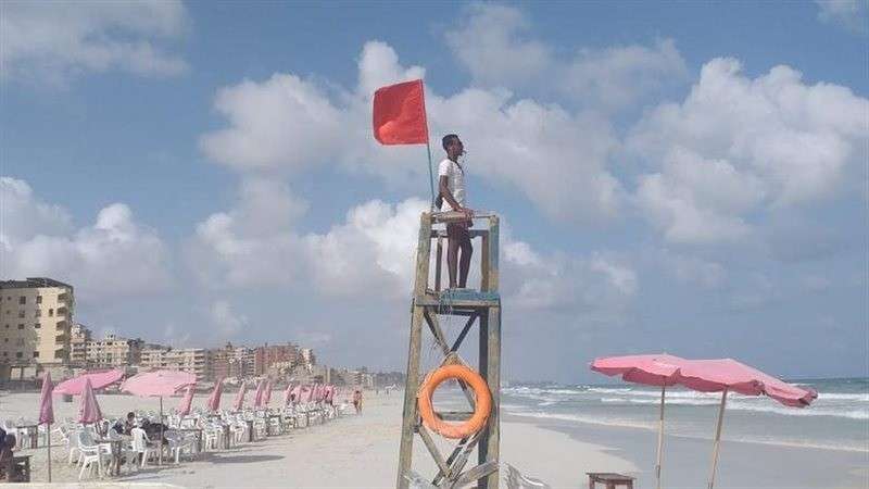 بوابة المصريين
