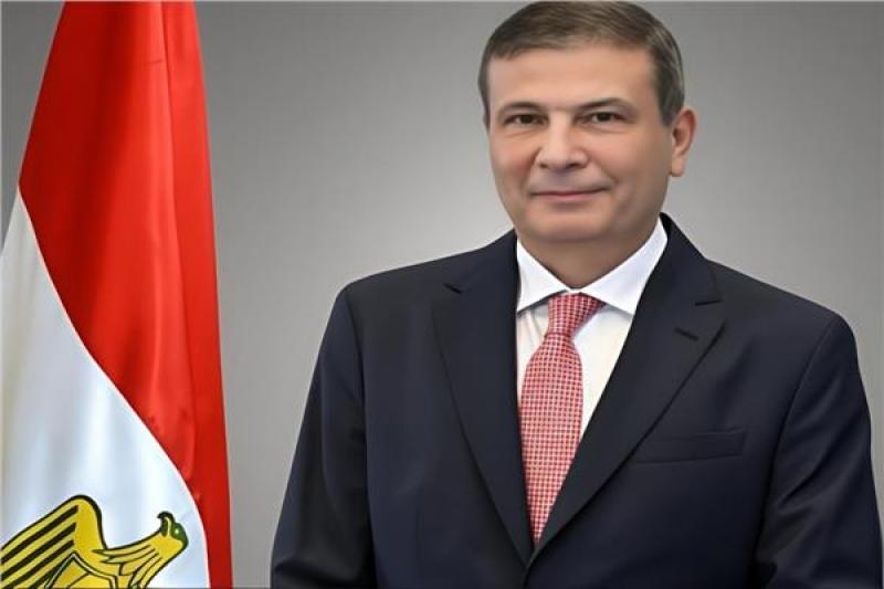 بوابة المصريين