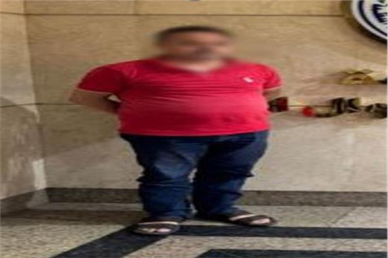 بوابة المصريين