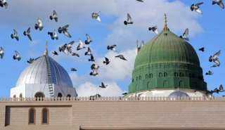 «وُلد الهدى».. قبس من أخلاق النبي والشمائل المحمدية في ذكرى المولد الشريف
