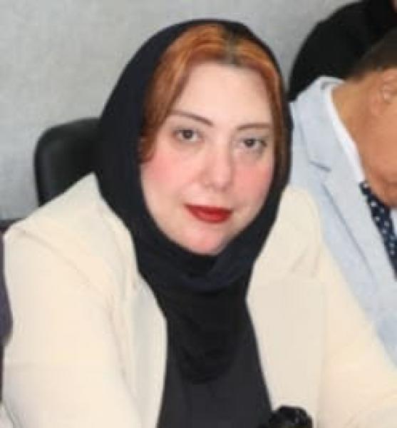 بوابة المصريين