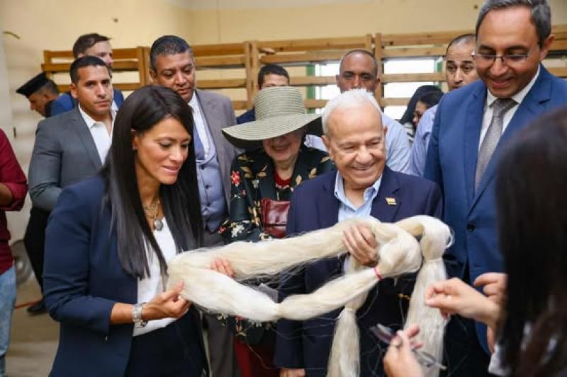 بوابة المصريين