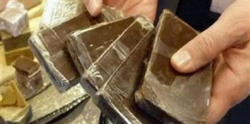 بوابة المصريين