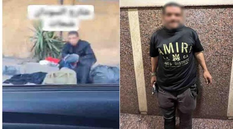 بوابة المصريين
