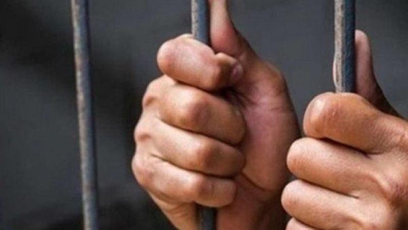 بوابة المصريين