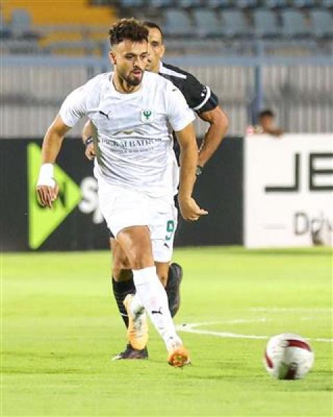 بوابة المصريين