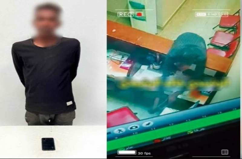 بوابة المصريين