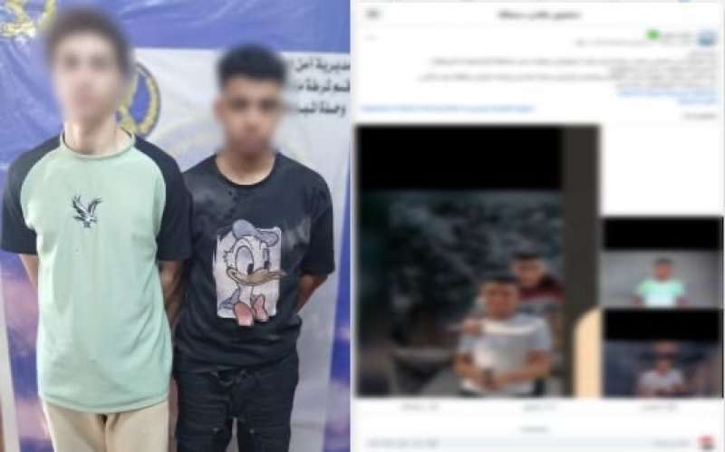 بوابة المصريين