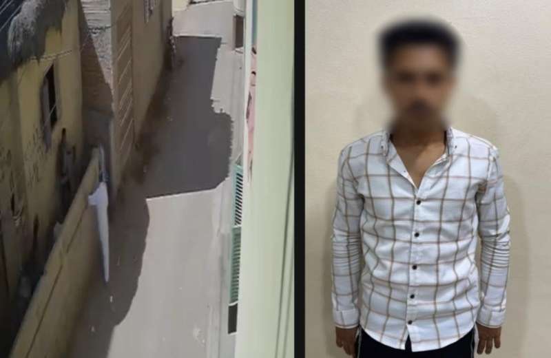 بوابة المصريين