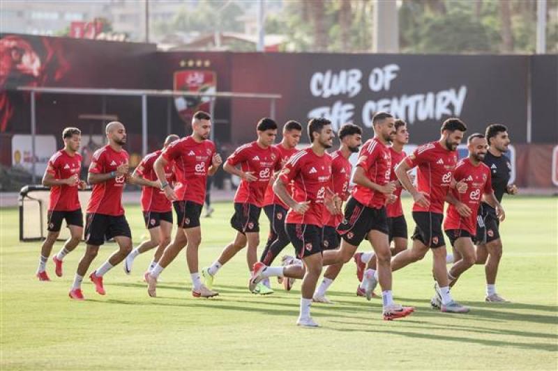 بوابة المصريين