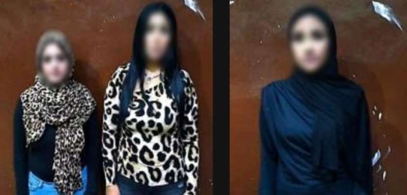 بوابة المصريين