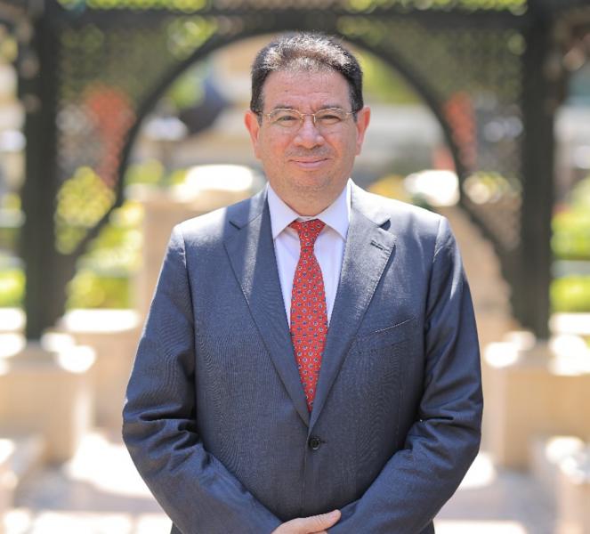 بوابة المصريين