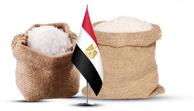 بوابة المصريين