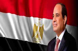 الرئيس السيسي يُشدد على ضرورة مواصلة العمل وفق الخطة الشاملة لتحقيق أمن الطاقة