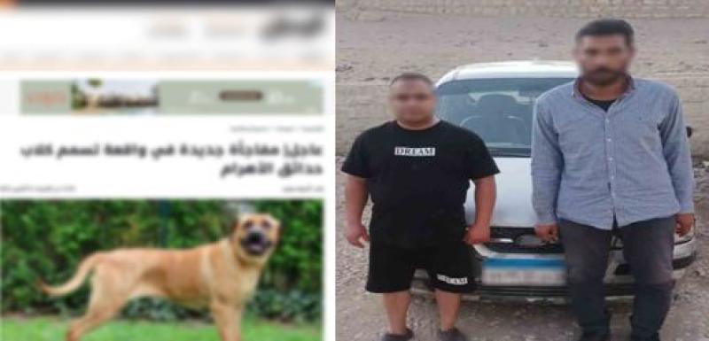 بوابة المصريين