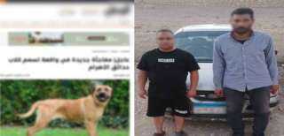 القبض على المتهمين بوضع طعام مسمم للكلاب الضالة بالهرم