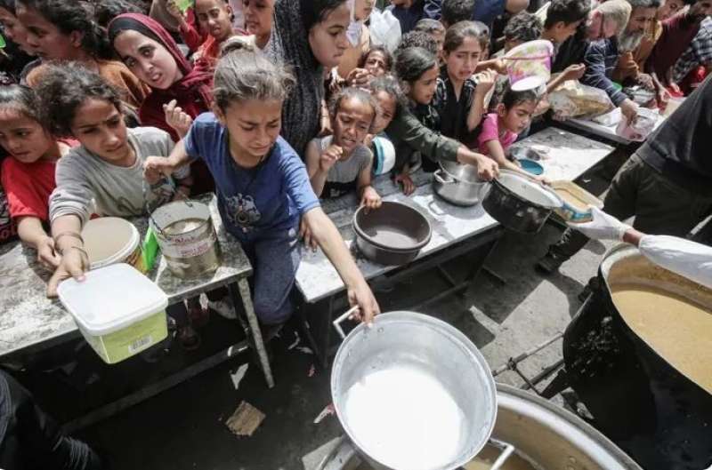 بوابة المصريين