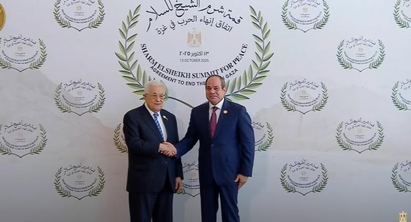 بوابة المصريين