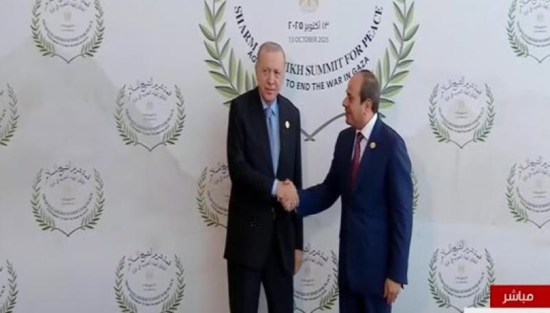 بوابة المصريين