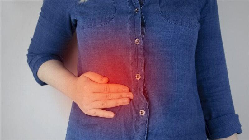 بوابة المصريين