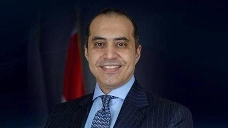 بوابة المصريين