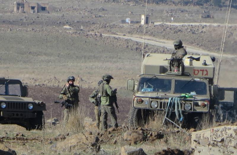 بوابة المصريين