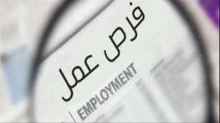 100 فرصة عمل جديدة متاحة للشباب.. شروط وطريقة التقديم