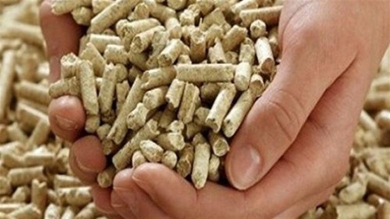 بوابة المصريين