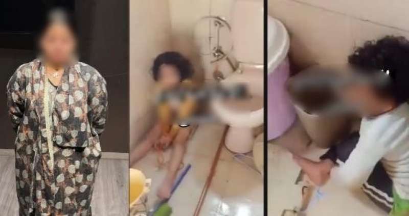 بوابة المصريين
