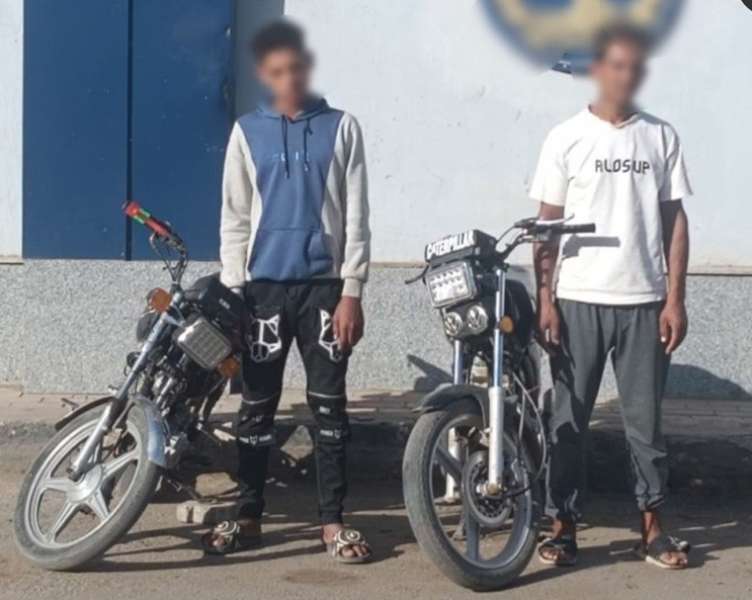 بوابة المصريين