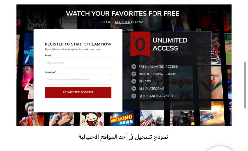 بوابة المصريين