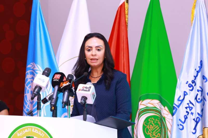 بوابة المصريين
