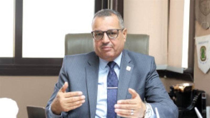 بوابة المصريين