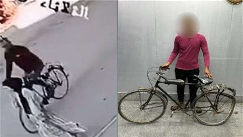 بوابة المصريين