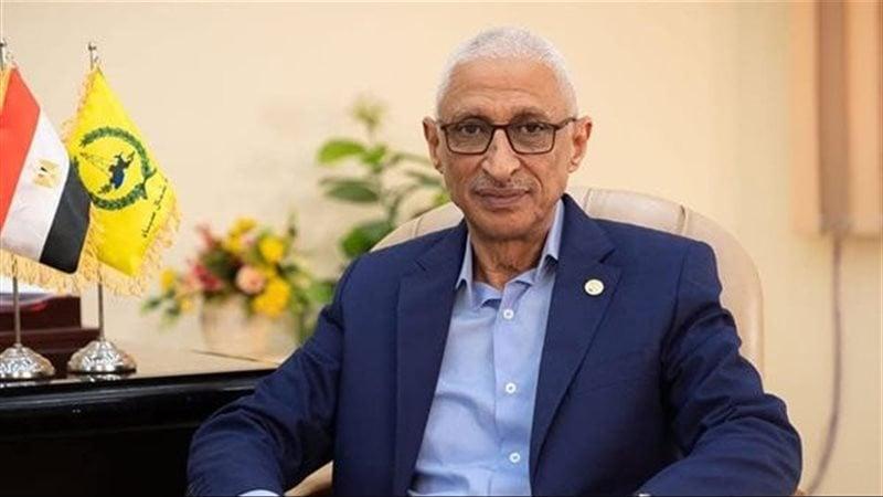 بوابة المصريين