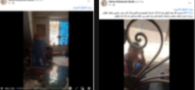 بوابة المصريين