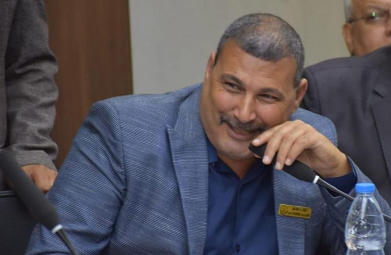 بوابة المصريين