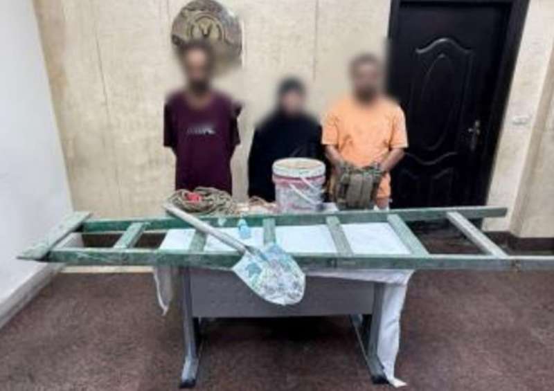 بوابة المصريين