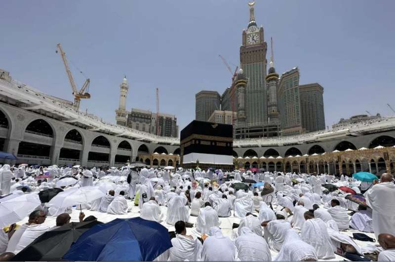 بوابة المصريين