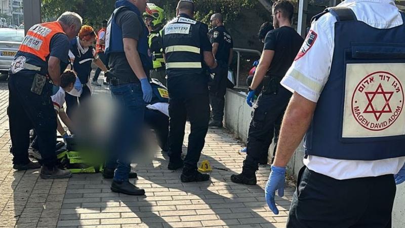 بوابة المصريين