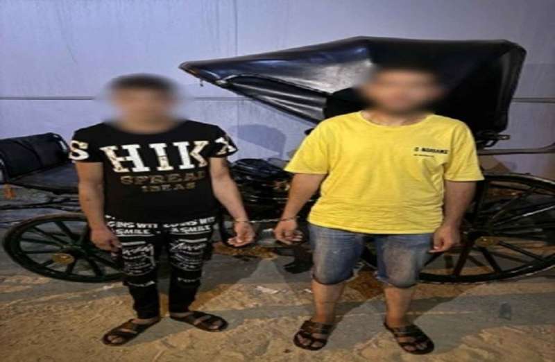 بوابة المصريين