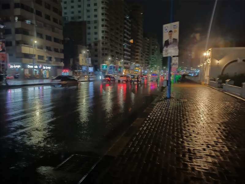 بوابة المصريين