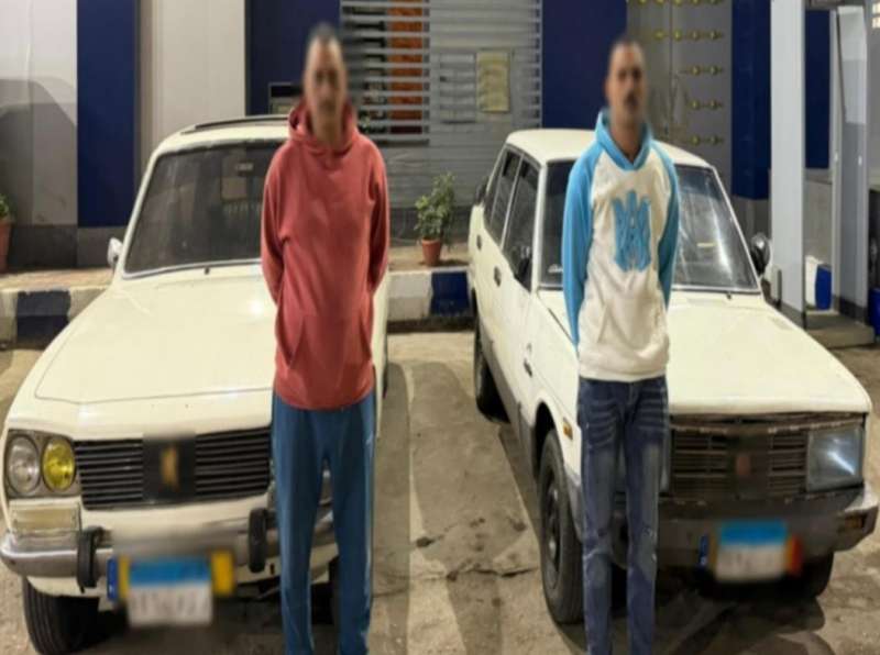 بوابة المصريين