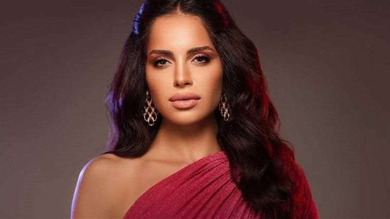 بوابة المصريين