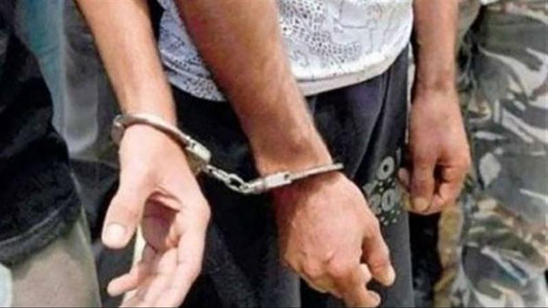 بوابة المصريين