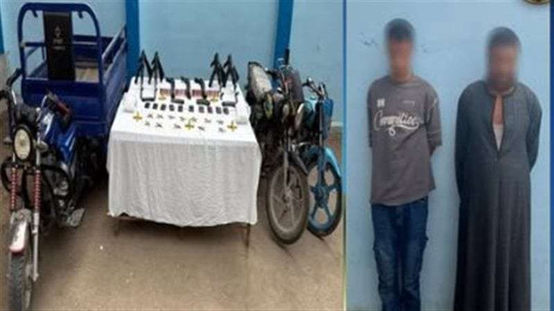 بوابة المصريين